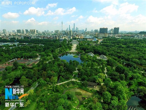 新华网无人机航拍广东海珠湿地公园 