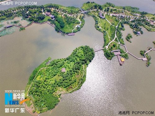 新华网无人机航拍广东海珠湿地公园 