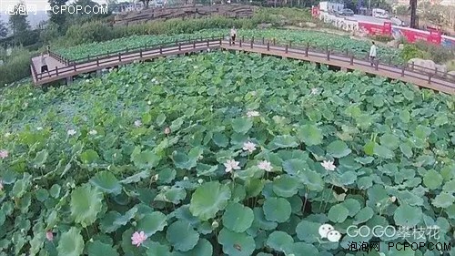 航拍仁和湿地公园 不一样的美！ 