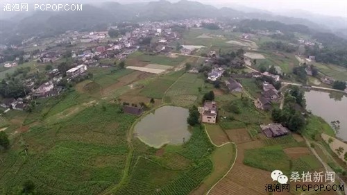 官地坪人口_官地坪中学图片