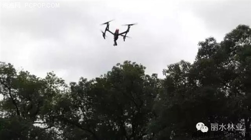 丽水首次用无人机监测林业有害生物 