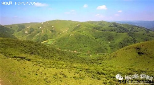 航拍天然牧场——甘谷古坡草原  