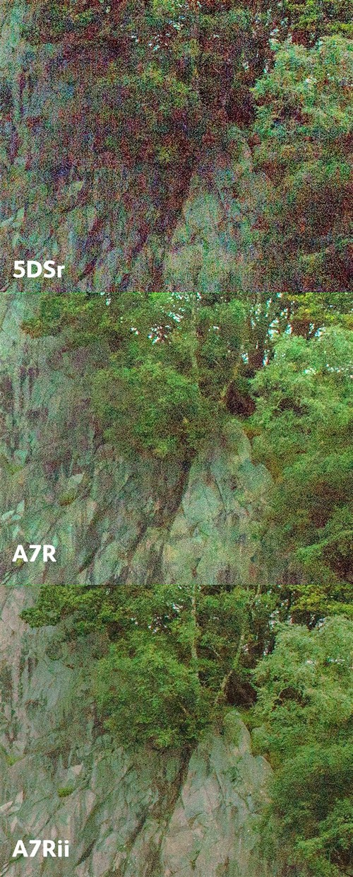 索尼A7RII与索尼A7R/佳能5DSr对比测试 