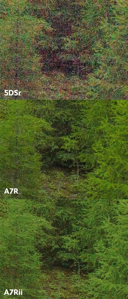 索尼A7RII与索尼A7R/佳能5DSr对比测试 