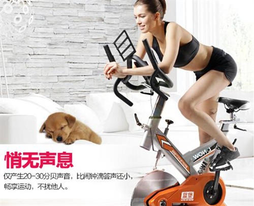 动感单车哪个牌子好 蓝堡健身车怎么样_健身器