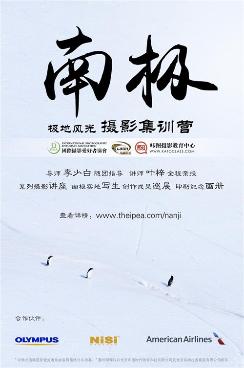 大师带你拍南极 NiSi与你享冰雪风光 