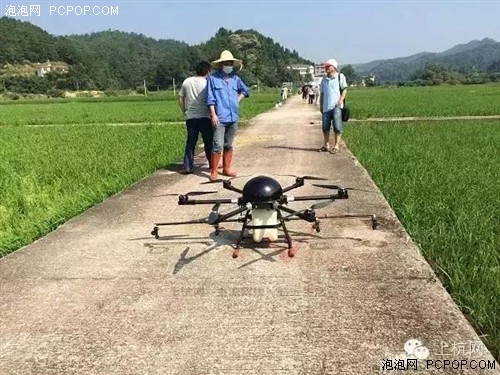 福建中都镇无人机喷药，你见到了吗？ 