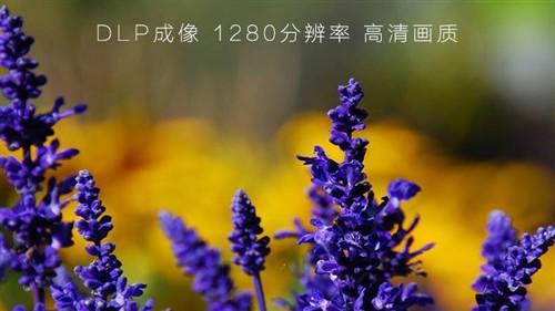 美高1080P高清家用微型投影机 无屏电视 