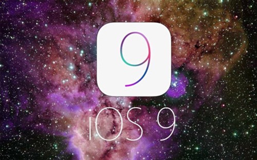 003640659.jpg