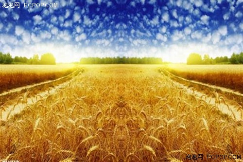 植保无人机发展对比,中国最落后