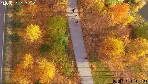 无人机航拍雨阳公园——哈尔滨的秋天 