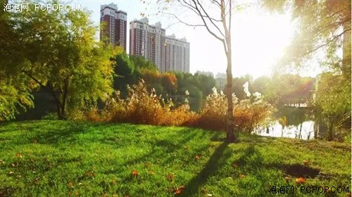 无人机航拍雨阳公园——哈尔滨的秋天 