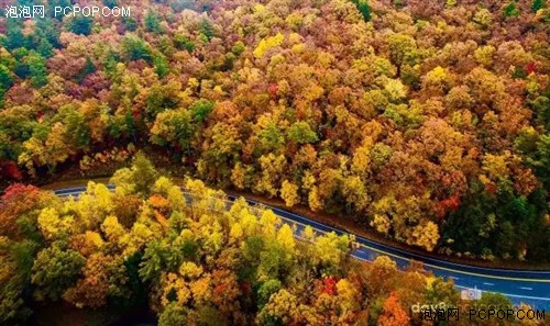 无人机航拍：亚特兰大秋色风景 