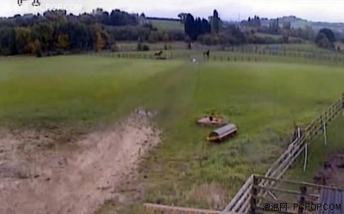 ���˻��������һƥ�����������֣� 