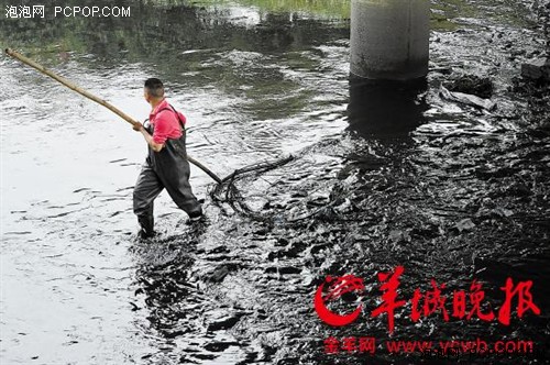 深圳茅洲河治污无人机上阵 严厉监管方案出炉 