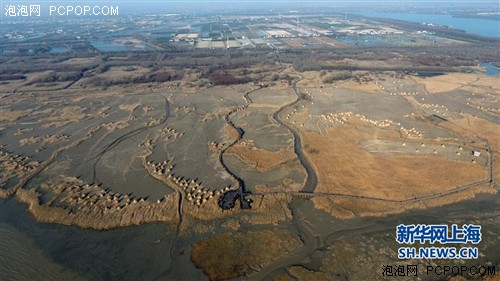 航拍西沙湿地:世界第一大河口冲积岛潮滩湿地