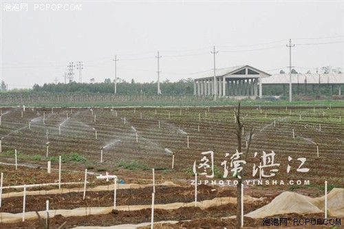 广东遂溪农田上空现无人机喷农药“神器” 