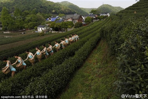 晨博社20160419：膀胱的膀＝翅膀的膀 