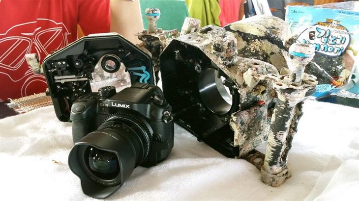摄影师捞出海底沉睡90天的松下GH4相机 