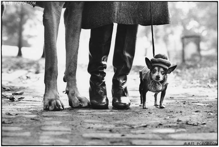 elliott erwitt,美国,杰出贡献奖,2015年索尼世界摄影奖