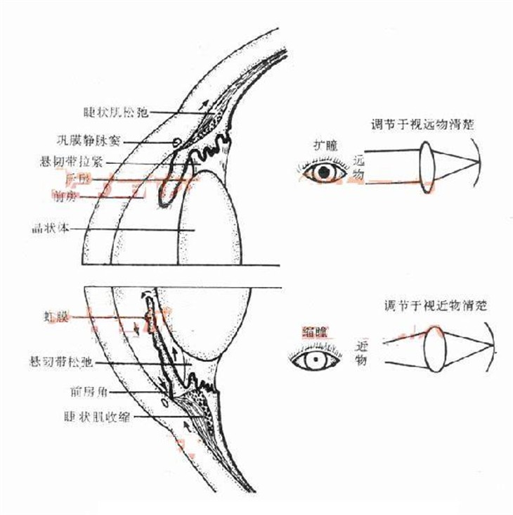 超级不闪屏Q320显示技术的又一次突破 