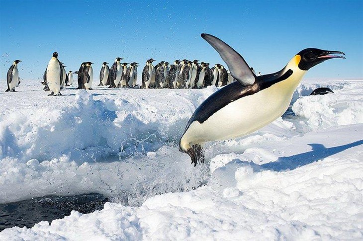 Wikimedia Commons2014年度照片出炉 