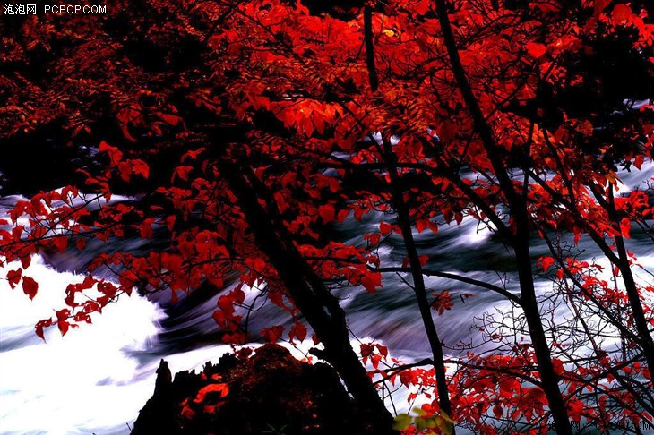 金秋十月 北京秋季合适拍照的景点推荐 