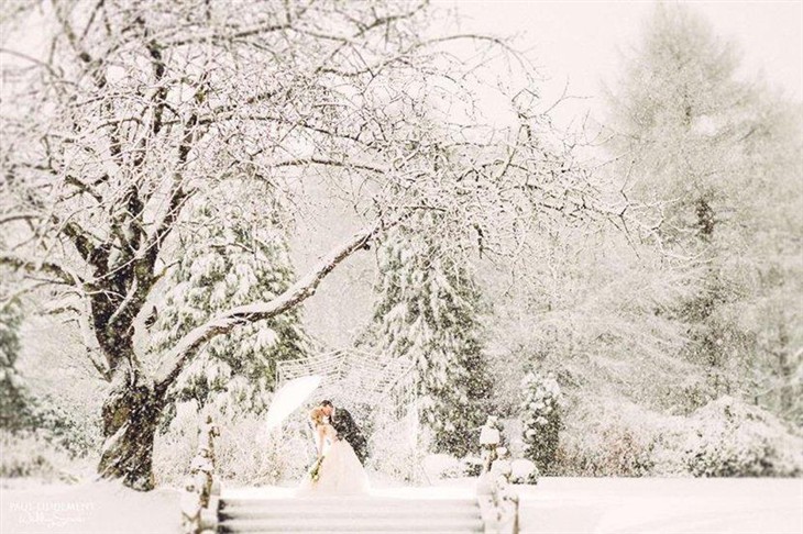 婚礼遇罕见大雪 摄影师却拍出梦幻仙境 