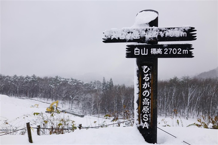 索尼黑卡RX1RII日本行摄:艺伎/白川乡 