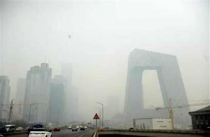 晨博社20151228:姑娘,我们都有罪!