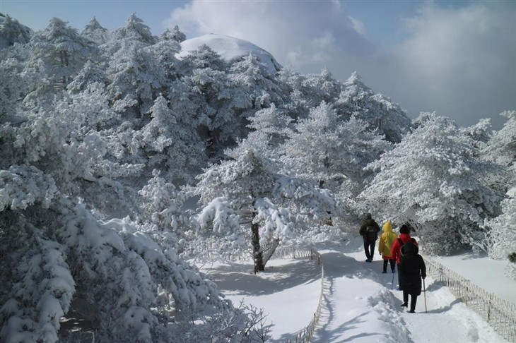 安徽黄山降雪达40厘米