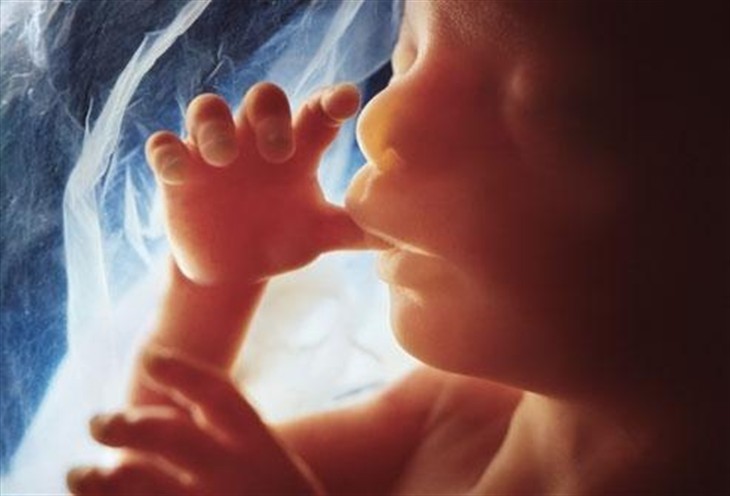 基因改造开始：英国批准编辑人类胚胎 