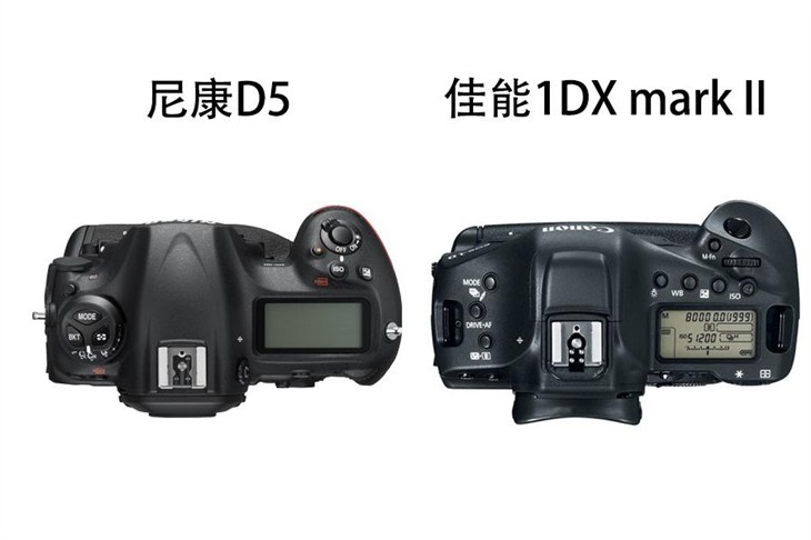 尼康D5与佳能1DX MarkII新机对比点评 