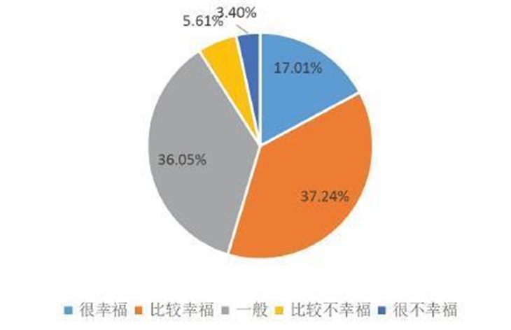 央视评2015十大幸福城市：长沙夺魁！ 