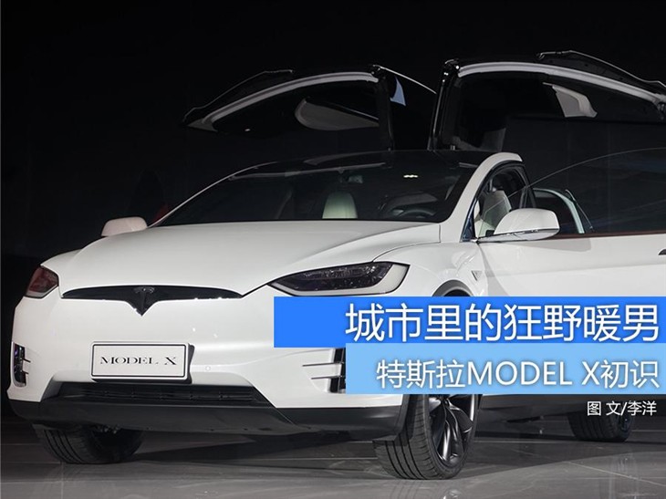 特拉斯MODEL X 