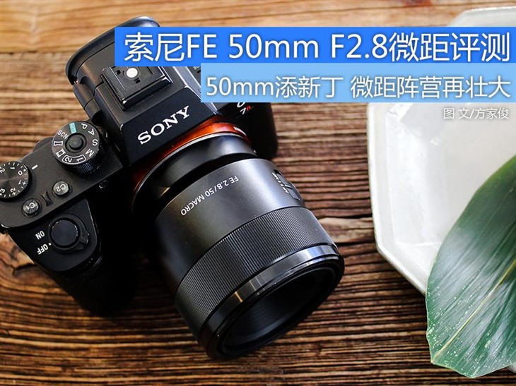 轻巧锐利 索尼FE 50mm F2.8微距评测 