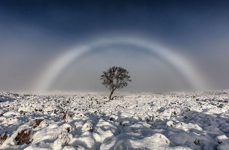 自然奇景 摄影师拍到“白色的彩虹” 