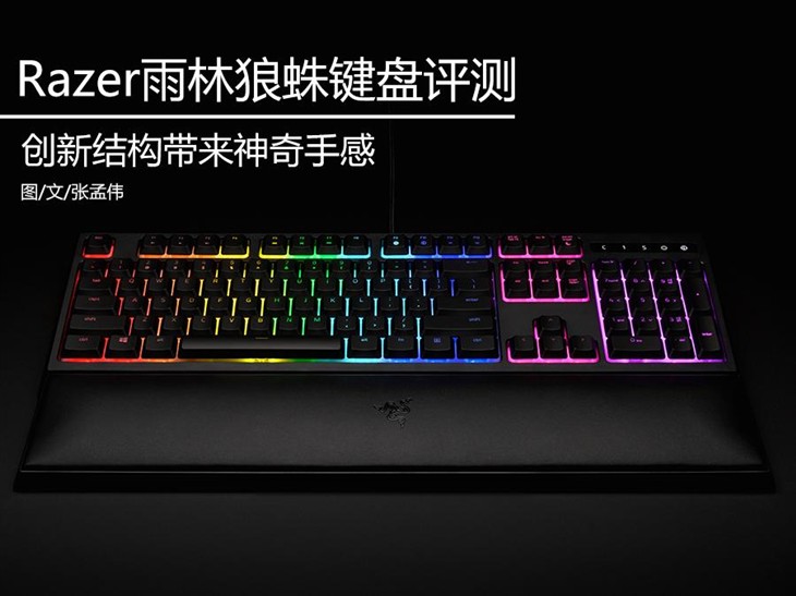 Razer雨林狼蛛键盘开箱 神奇键盘在这里 