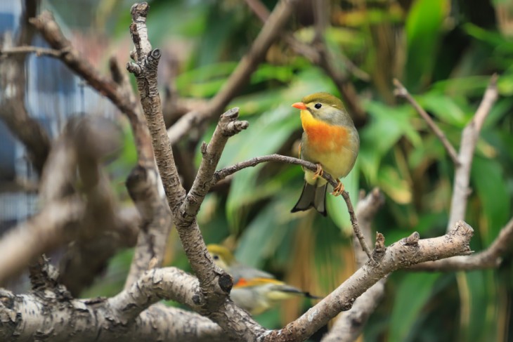 高感画质很出色 佳能6D Mark II入门全画幅单反