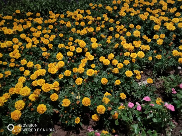 努比亚Z17S评测:冷艳的无边框周全屏 玩法多样