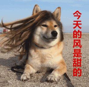 别跟狗较劲完整版 aa2a39fd-df55-4edf-8f83-9923b9e18435.jpg