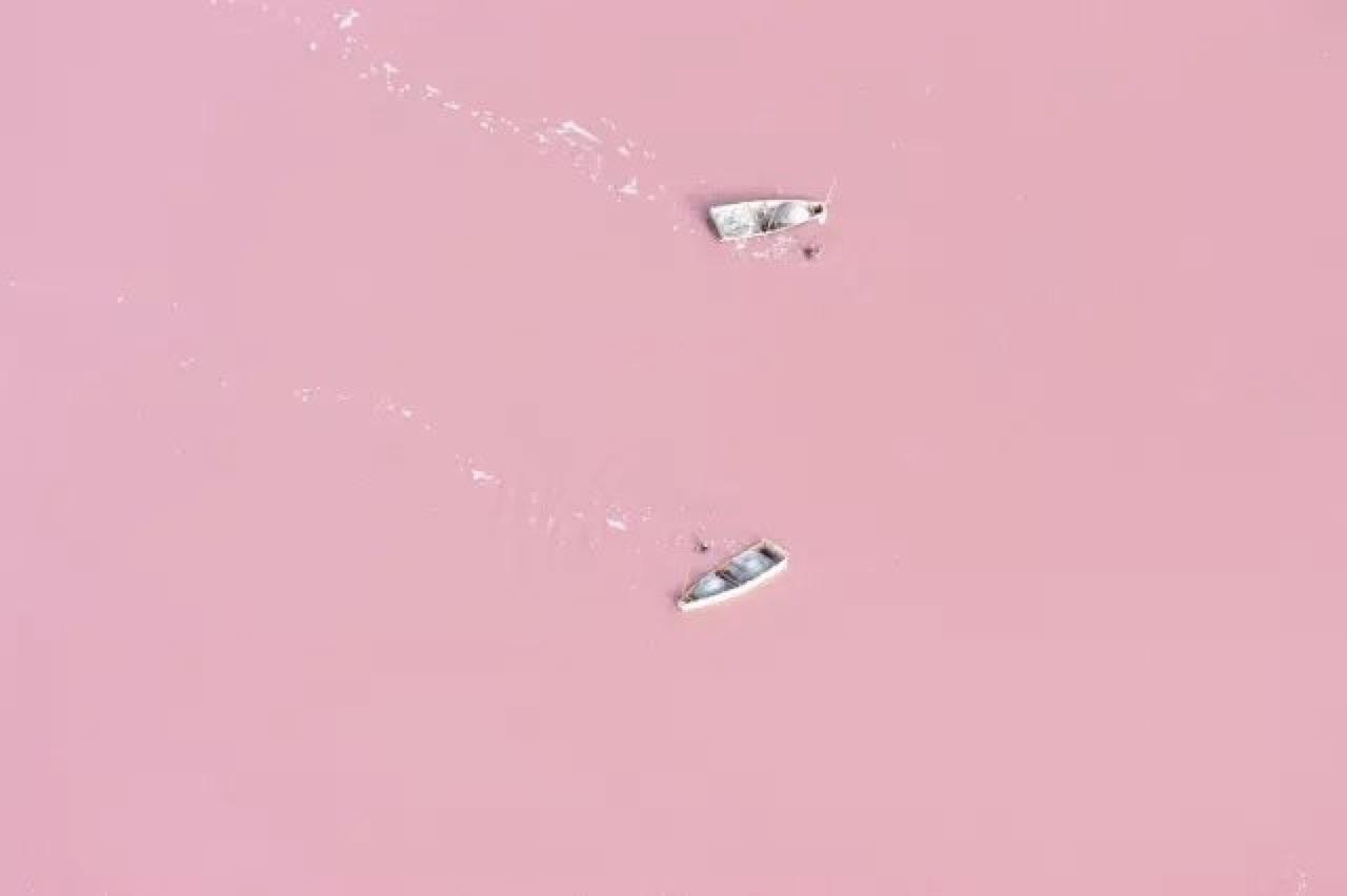 这有一些粉色奇迹,可能你还没去过_资讯动态-泡泡网