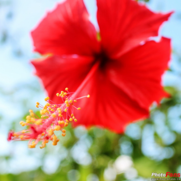 浪漫巴厘岛之行,佳能微单记录海岛风光_资讯动