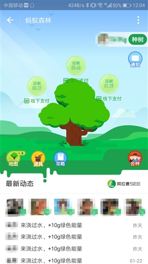 支付宝蚂蚁森林支持合种树:215kg胡杨不再是梦