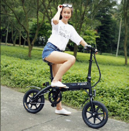 电动自行车新标准出台 谁来分享千亿规模产业