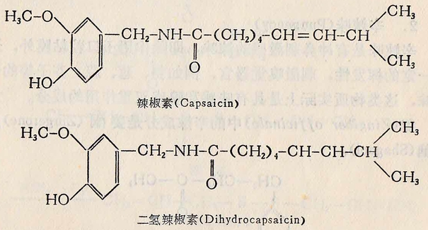 辣椒素和二氢辣椒素的结构(网络图)