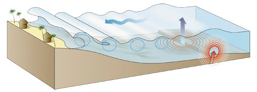 为什么海啸能传到千里之外?