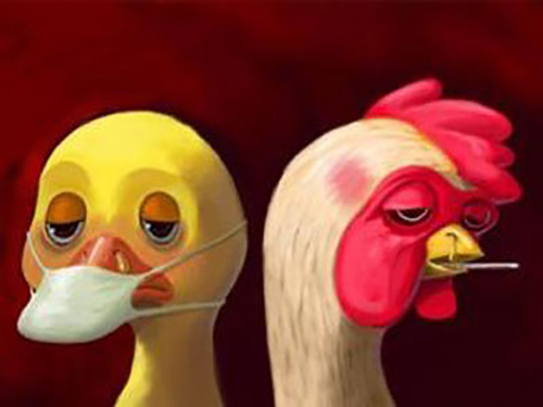 禽流感主要是什么动物感染?