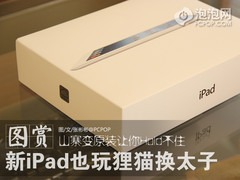 ��iPad��è��̫�ӣ�ɽկ����Hold��ס