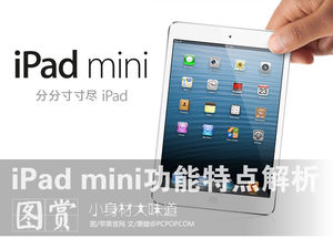 小身材大味道 iPad mini功能特点解析